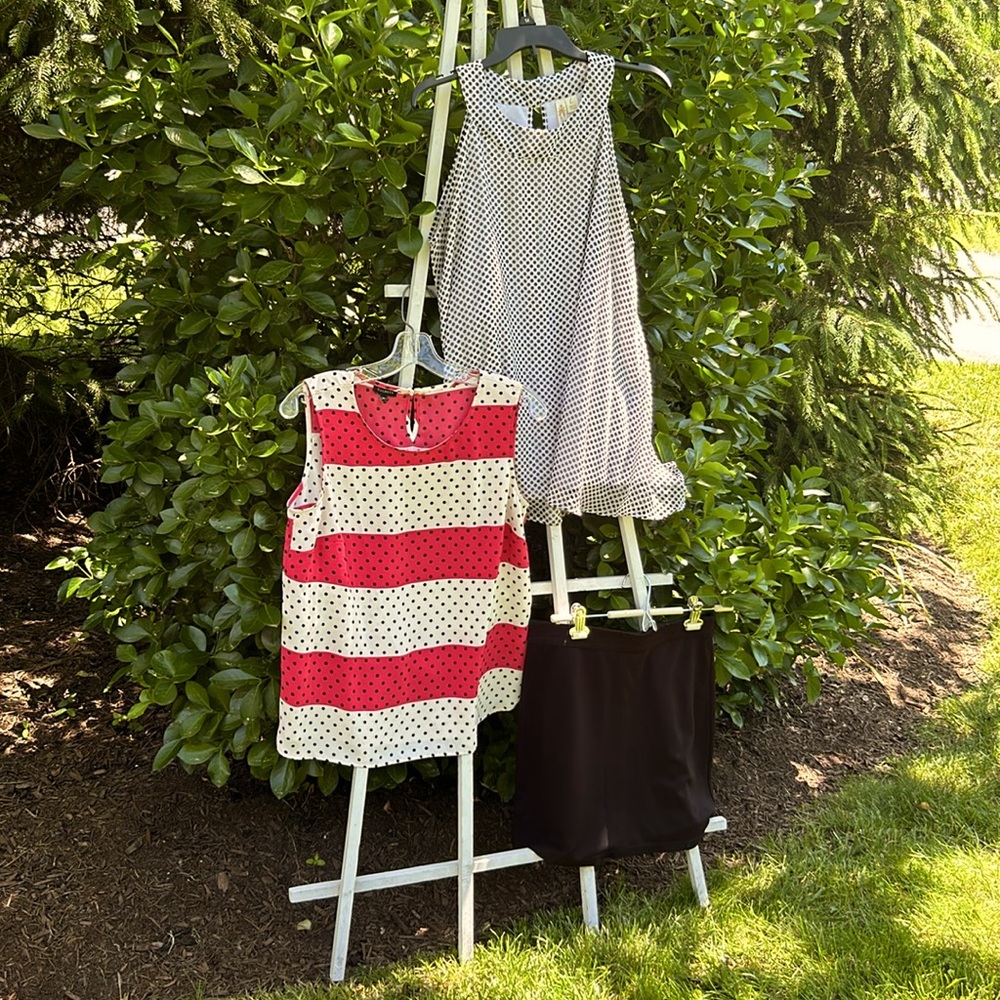 Bundling two beautiful dress shirts and a lovely black skirt
